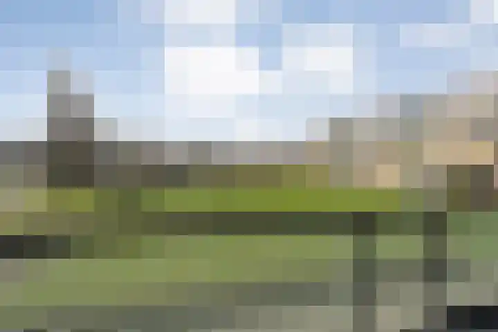 Dikkersstraat 1 116 Ommen thumbnail 25