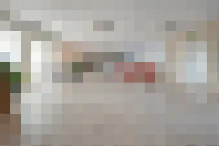 Dikkersstraat 1 116 Ommen thumbnail 8