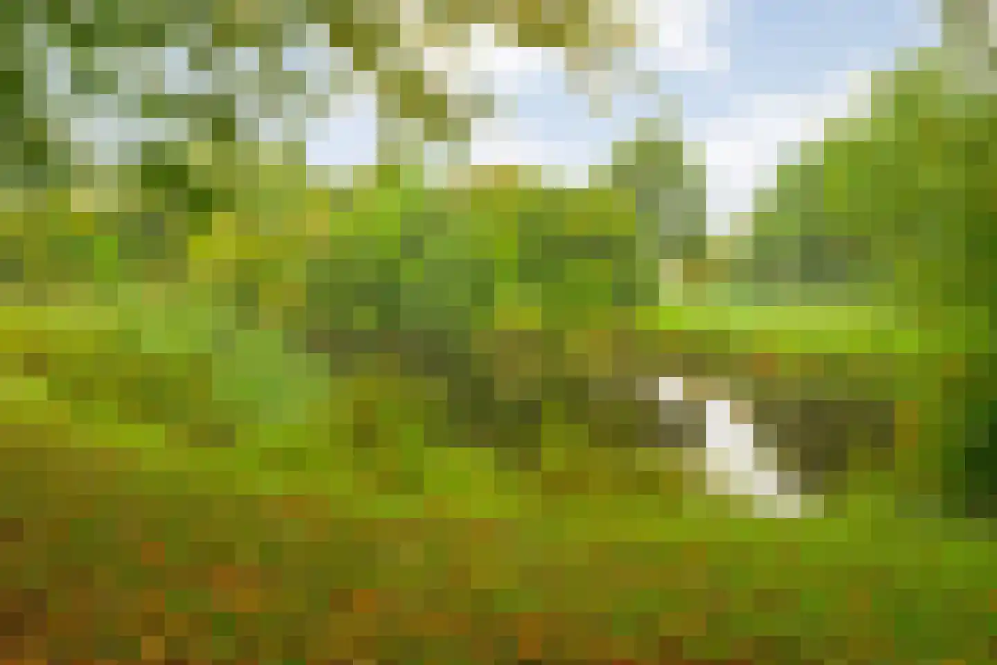 Dikkersstraat 1 206 Ommen thumbnail 32