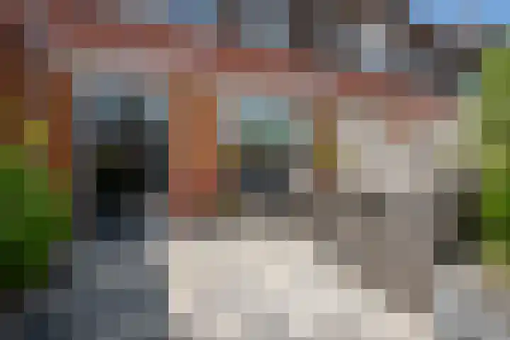 Dikkertje Dap 35 Gorinchem thumbnail 20
