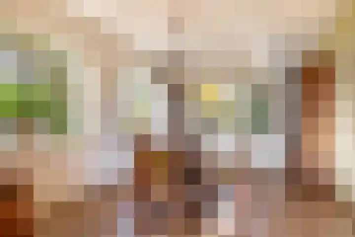 Dikkesteenweg 30 Havelte thumbnail 12