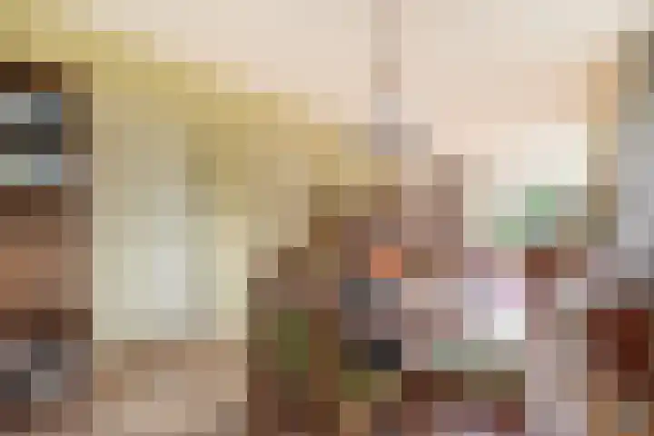 Dikkesteenweg 30 Havelte thumbnail 14