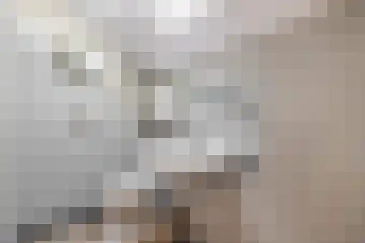 Dikkesteenweg 30 Havelte thumbnail 33