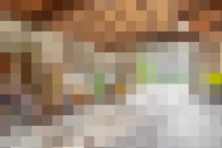 Dikkesteenweg 30 Havelte thumbnail 43