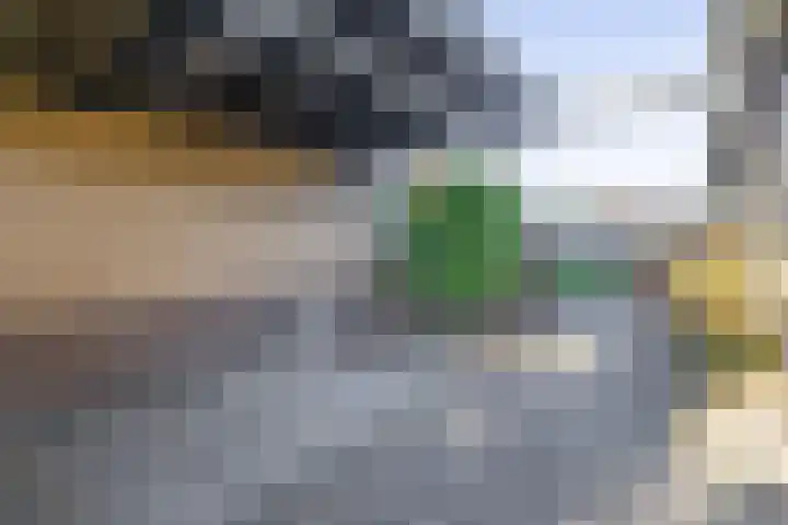 Dikkesteenweg 30 Havelte thumbnail 44