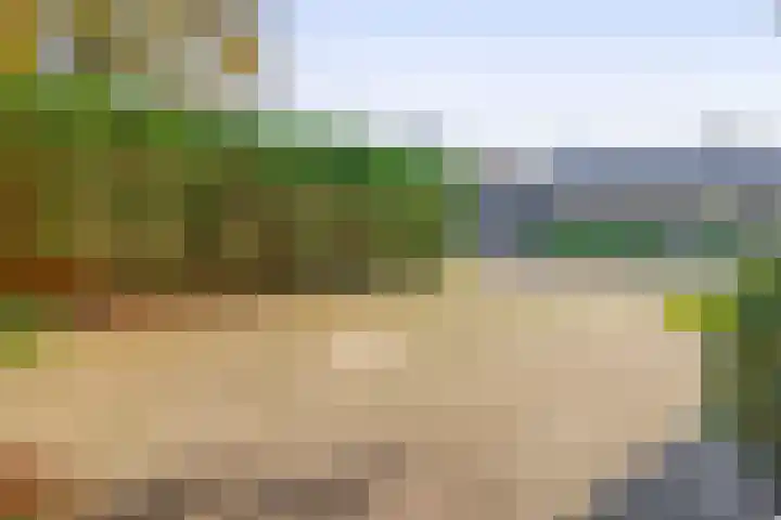 Dikkesteenweg 30 Havelte thumbnail 48