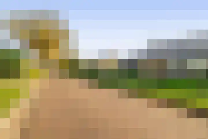 Dikkesteenweg 30 Havelte thumbnail 49