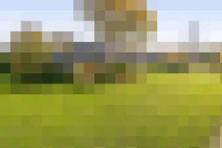 Dikkesteenweg 30 Havelte thumbnail 52