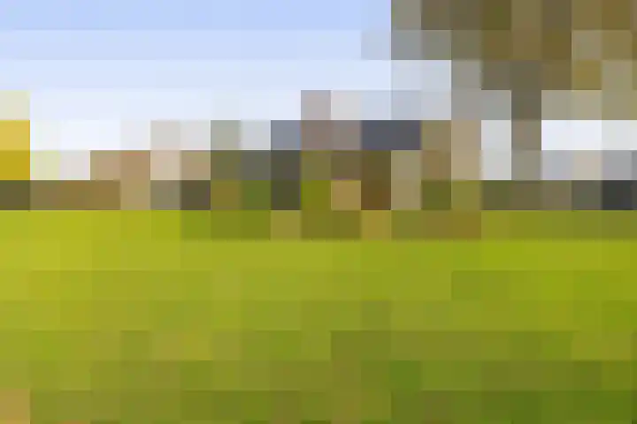 Dikkesteenweg 30 Havelte thumbnail 53