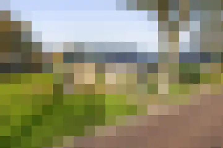 Dikkesteenweg 30 Havelte thumbnail 55