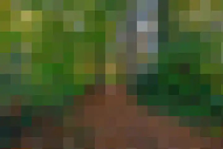 Dikkesteenweg 30 Havelte thumbnail 60