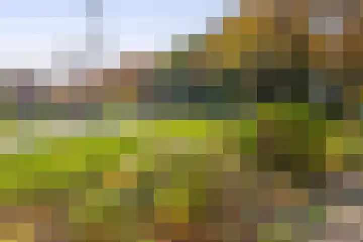 Dikkesteenweg 30 Havelte thumbnail 62