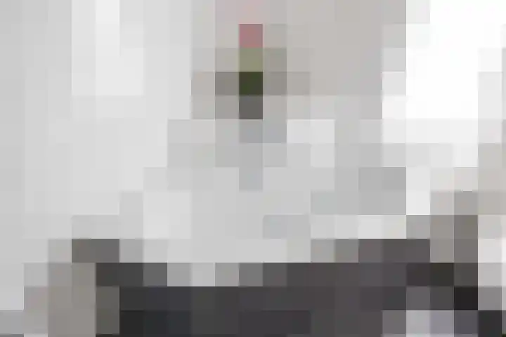 Dikninge 11 Norg thumbnail 38