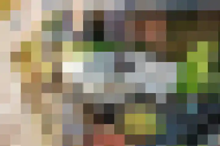 Dikninge 11 Norg thumbnail 44