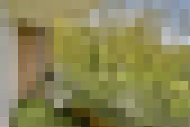 Dikninge 111 Amsterdam thumbnail 10