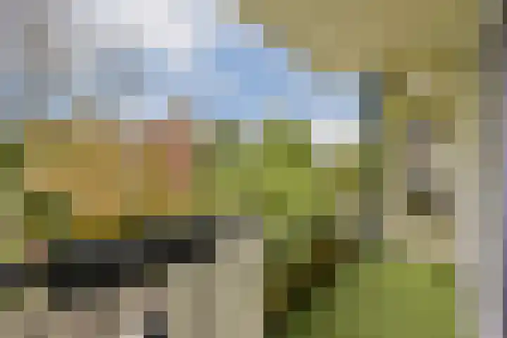 Dikninge 111 Amsterdam thumbnail 11