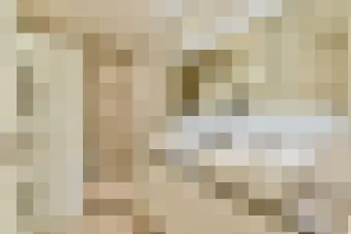 Dikninge 111 Amsterdam thumbnail 13