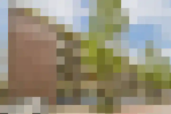 Dikninge 111 Amsterdam thumbnail 20