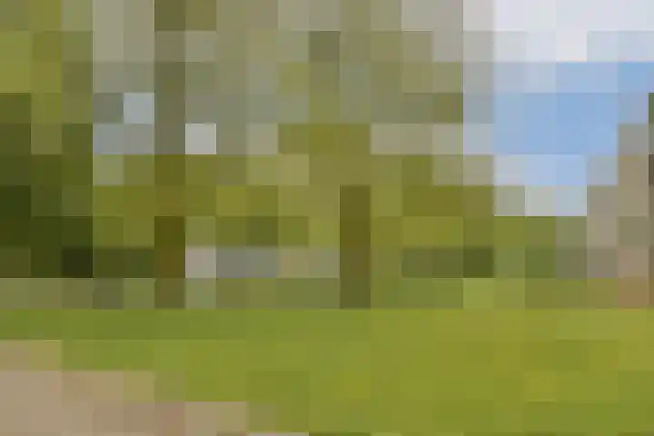 Dikninge 111 Amsterdam thumbnail 21