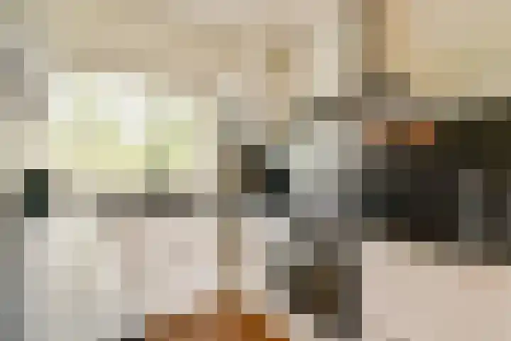 Dikninge 111 Amsterdam thumbnail 7