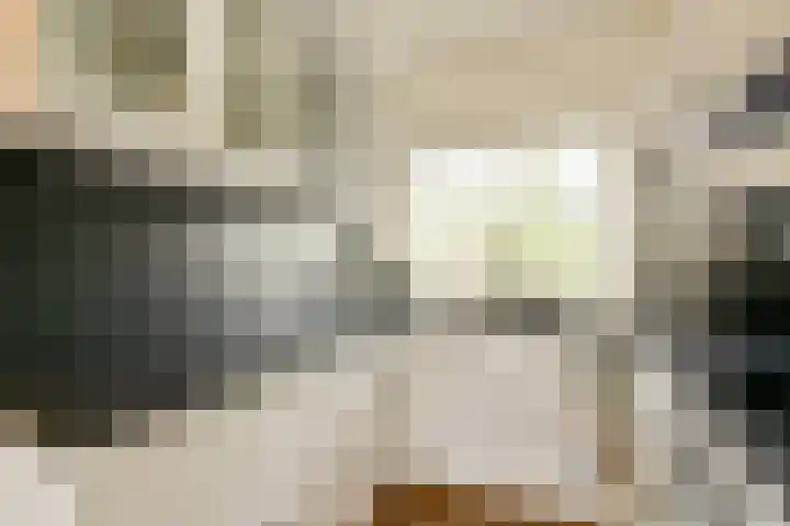 Dikninge 111 Amsterdam thumbnail 8