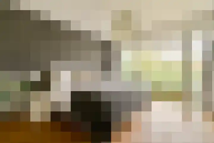 Dikninge 111 Amsterdam thumbnail 9