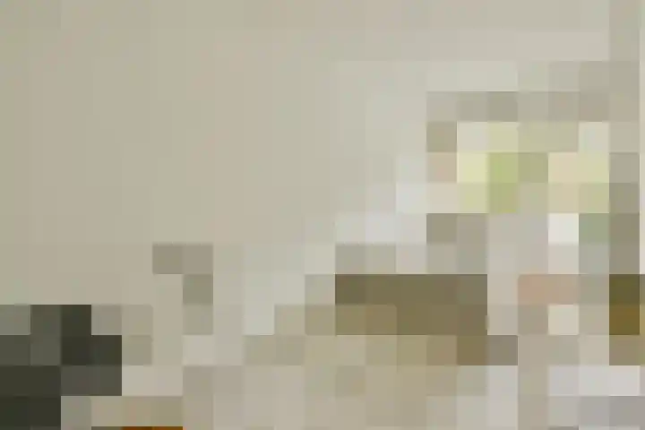 Dikninge 133 Amsterdam thumbnail 13