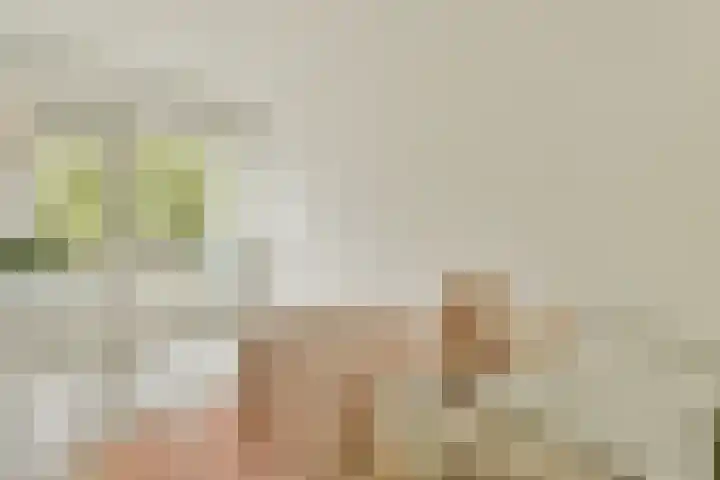 Dikninge 133 Amsterdam thumbnail 18
