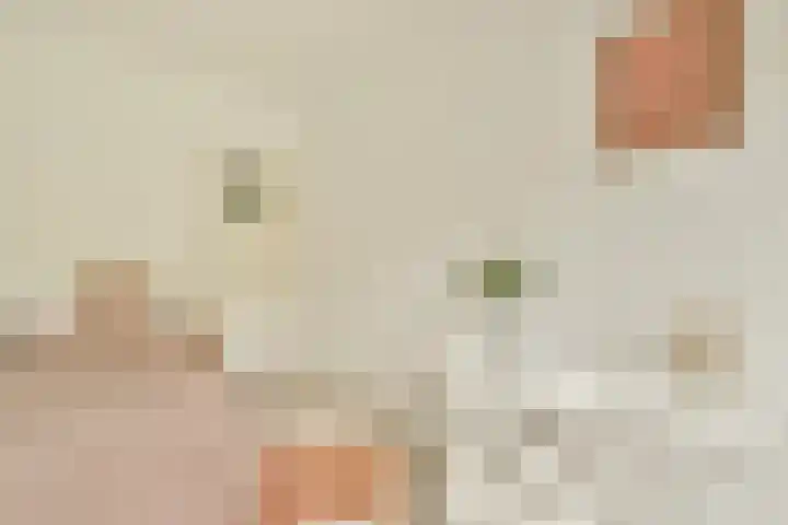 Dikninge 133 Amsterdam thumbnail 19