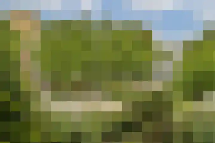 Dikninge 133 Amsterdam thumbnail 26