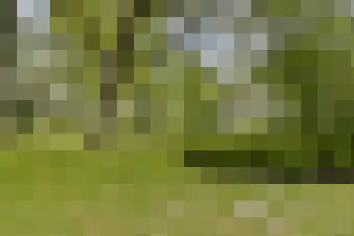 Dikninge 133 Amsterdam thumbnail 27