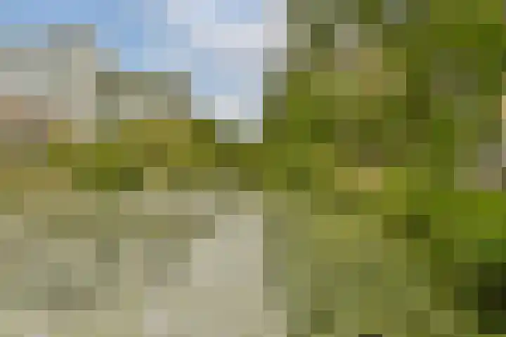 Dikninge 133 Amsterdam thumbnail 28
