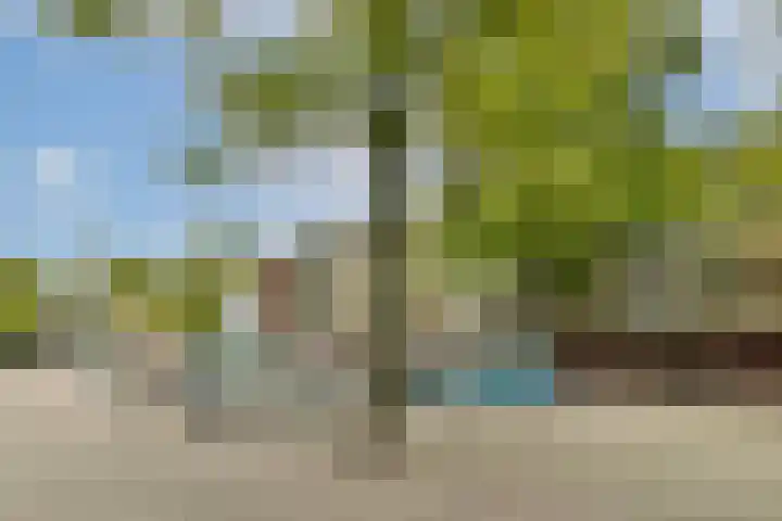 Dikninge 133 Amsterdam thumbnail 30