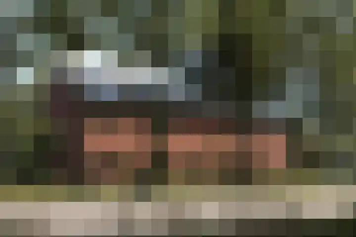 Dikninge 4 Norg thumbnail 16