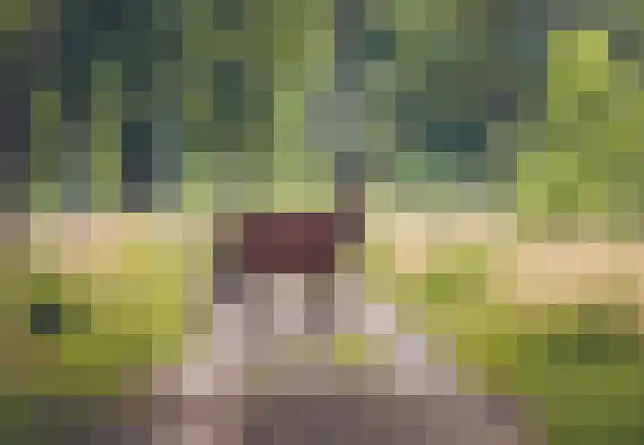 Dikninge 4 Norg thumbnail 18