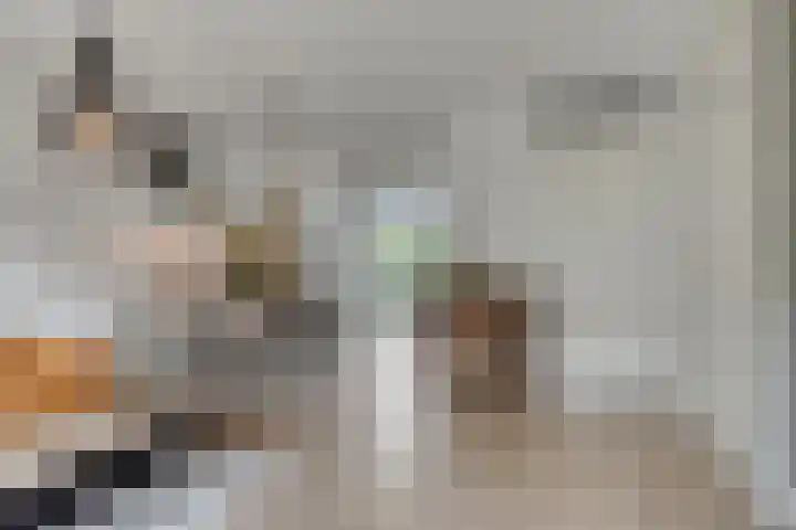 Dikninge 4 Norg thumbnail 20