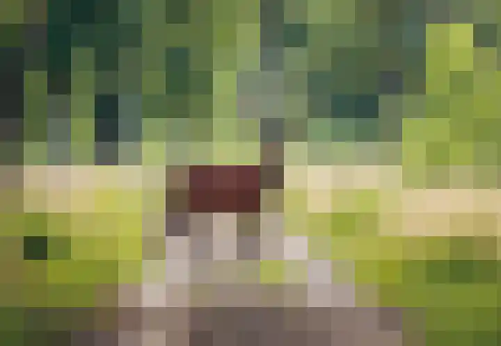 Dikninge 4 Norg thumbnail 7