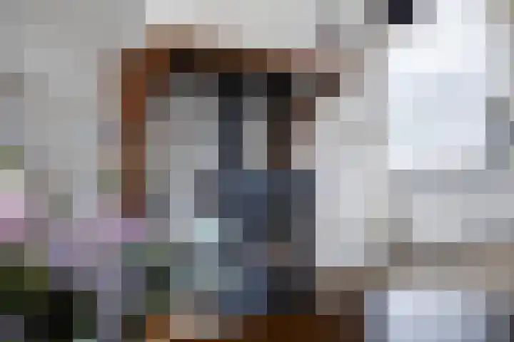 Dilakker 5 Aalden thumbnail 13