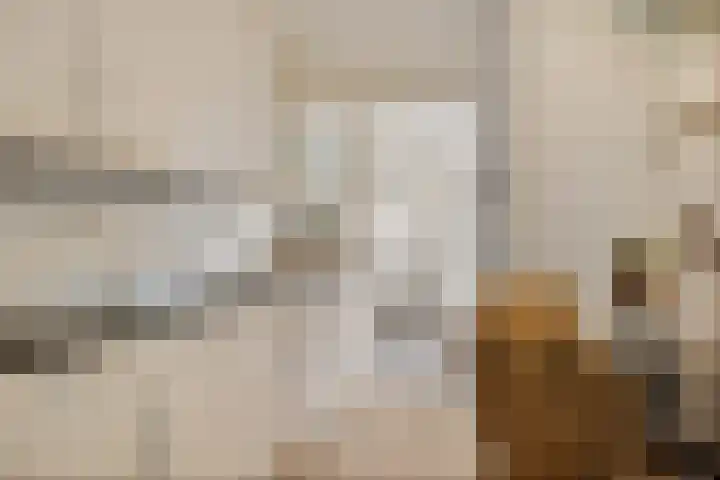 Dilakker 5 Aalden thumbnail 21