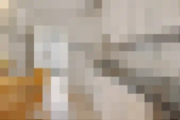Dilakker 5 Aalden thumbnail 22