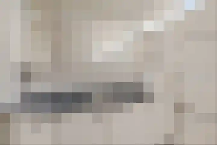 Dilakker 5 Aalden thumbnail 29