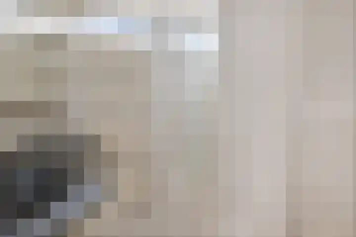 Dilakker 5 Aalden thumbnail 30