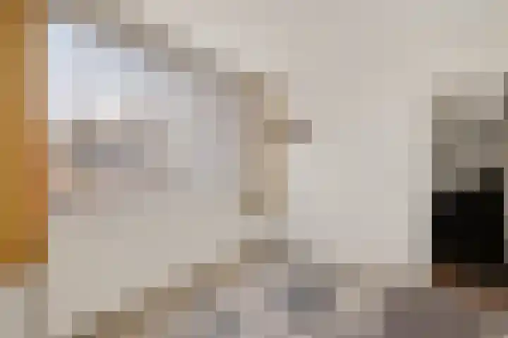 Dilakker 5 Aalden thumbnail 33