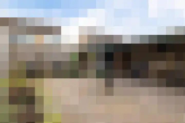 Dilakker 5 Aalden thumbnail 39