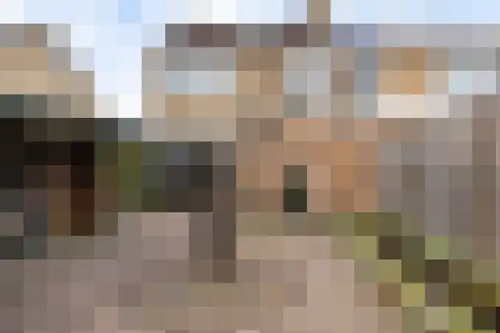 Dilakker 5 Aalden thumbnail 5