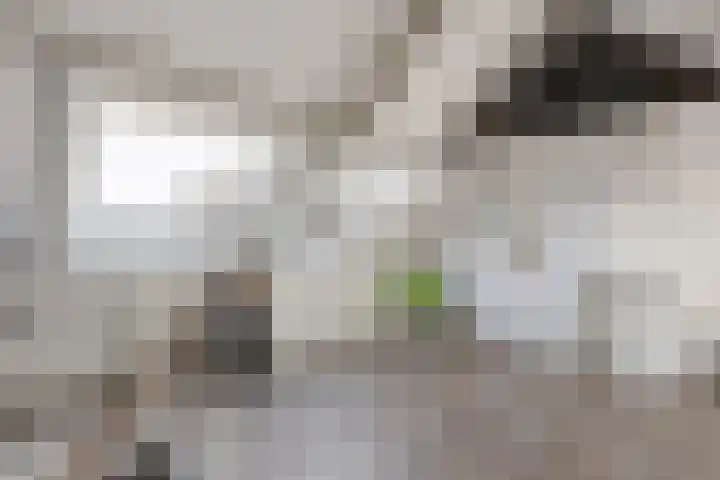 Dille 11 Nijverdal thumbnail 13