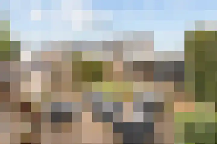 Dille 11 Nijverdal thumbnail 14