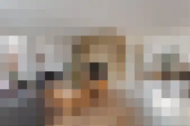 Dille 11 Nijverdal thumbnail 6