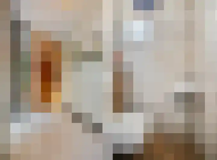 Dille 2 Dronten thumbnail 10