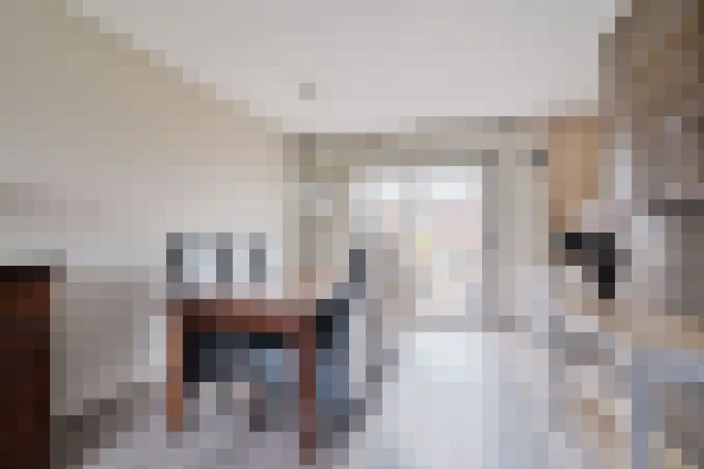 Dille 2 Dronten thumbnail 11